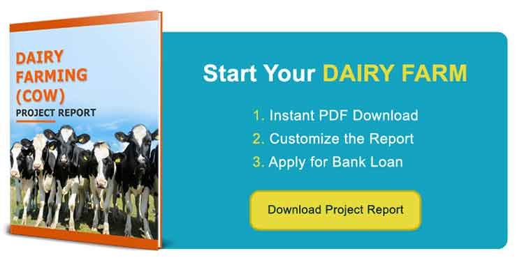 Download Dairy Farm Project Report