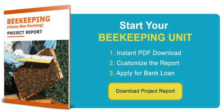 Download Beekeeping Project Report