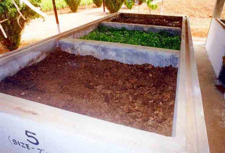 Vermicompost preparation in cemented pits