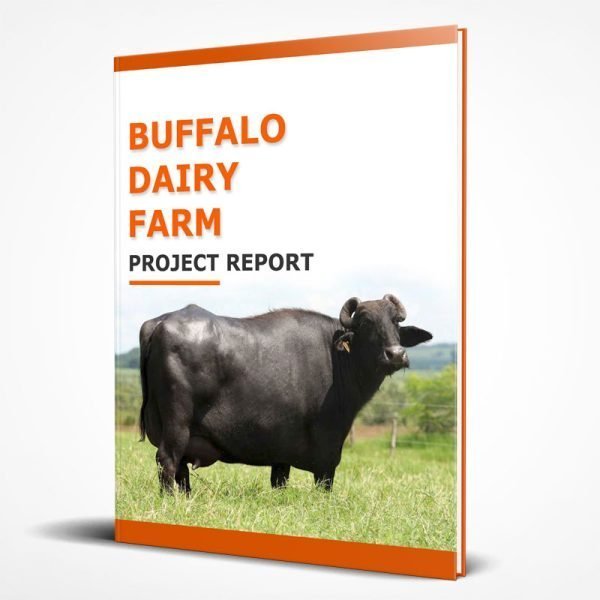 Buffalo dairy farm project report PDF