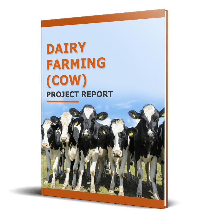 Dairy Farm Project Report PDF Dairy Farm Project Report PDF