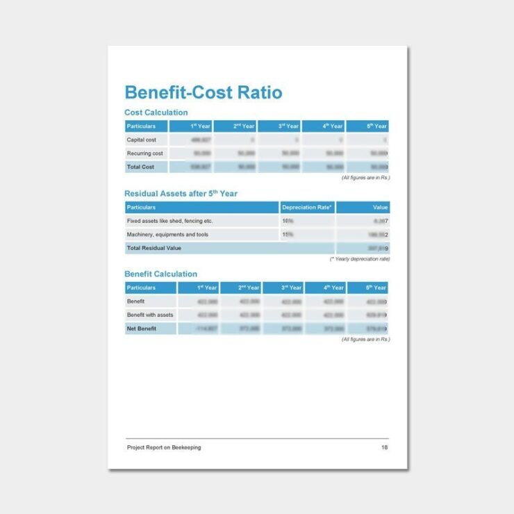 Beekeeping Project Report for Bank Loan: Download PDF