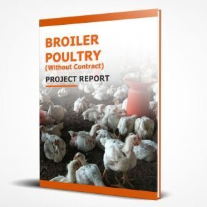 Broiler poultry farming project report