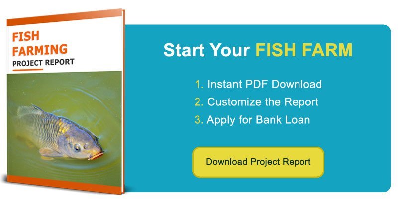 fish business plan in hindi